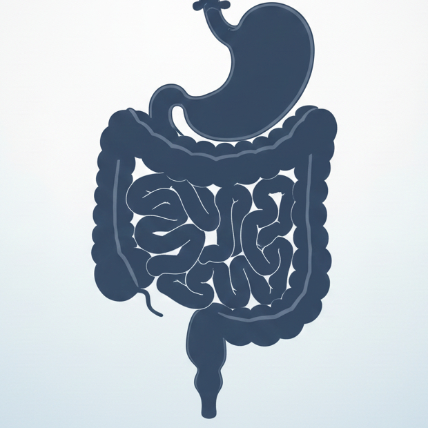 Gastroenterologia-e1765721883991.png